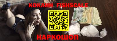 крисы Кулебаки
