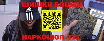 крисы Кулебаки