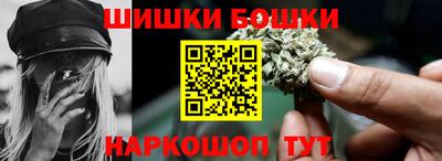 крисы Кулебаки
