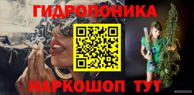 крисы Кулебаки
