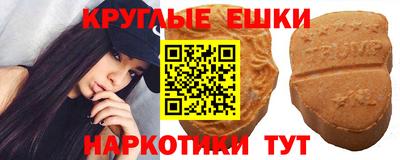крисы Кулебаки