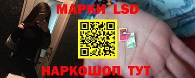 крисы Кулебаки